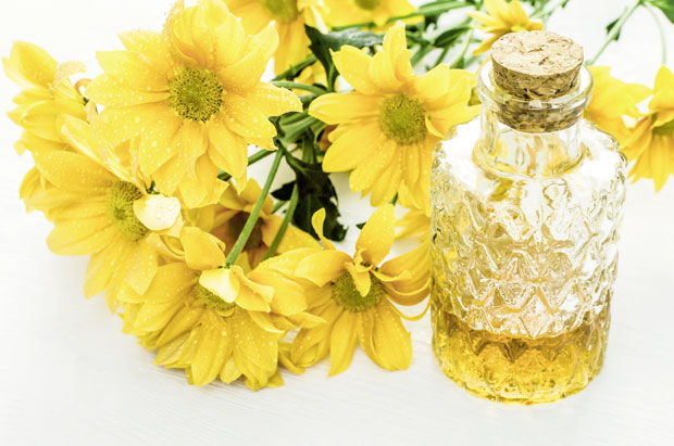 Биљке за болне зглобове